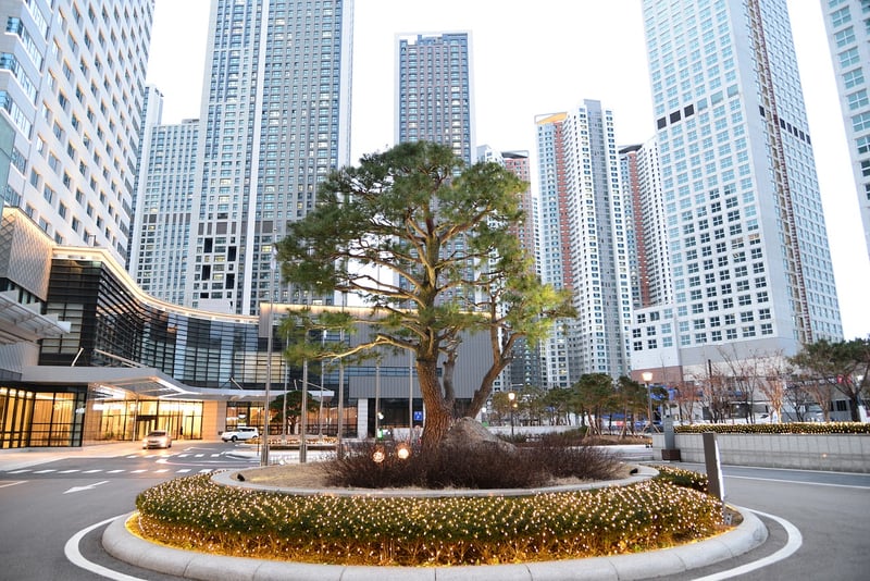 Urban oasis